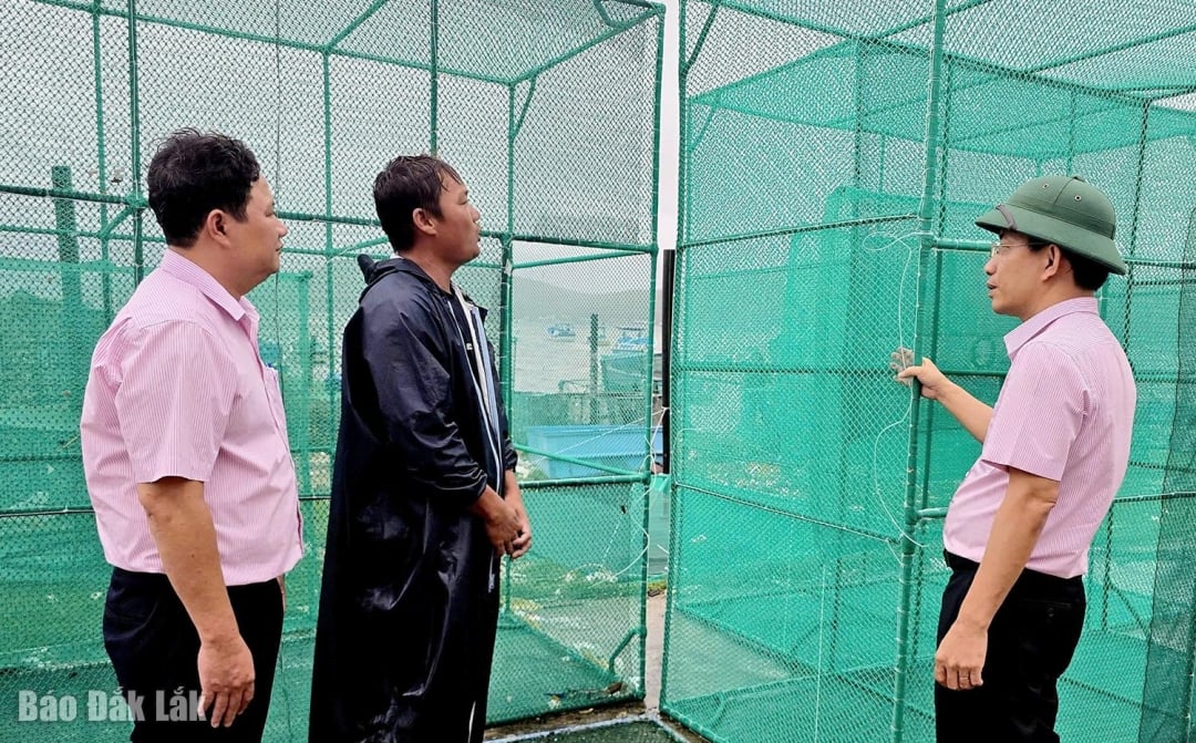 Herr Dao Thai Hoa, chef för Dak Lak Provincial Bank for Social Policies Branch (höger), besöker och uppmuntrar låntagaren Nguyen Ngoc Tam i Song Cau-distriktet.