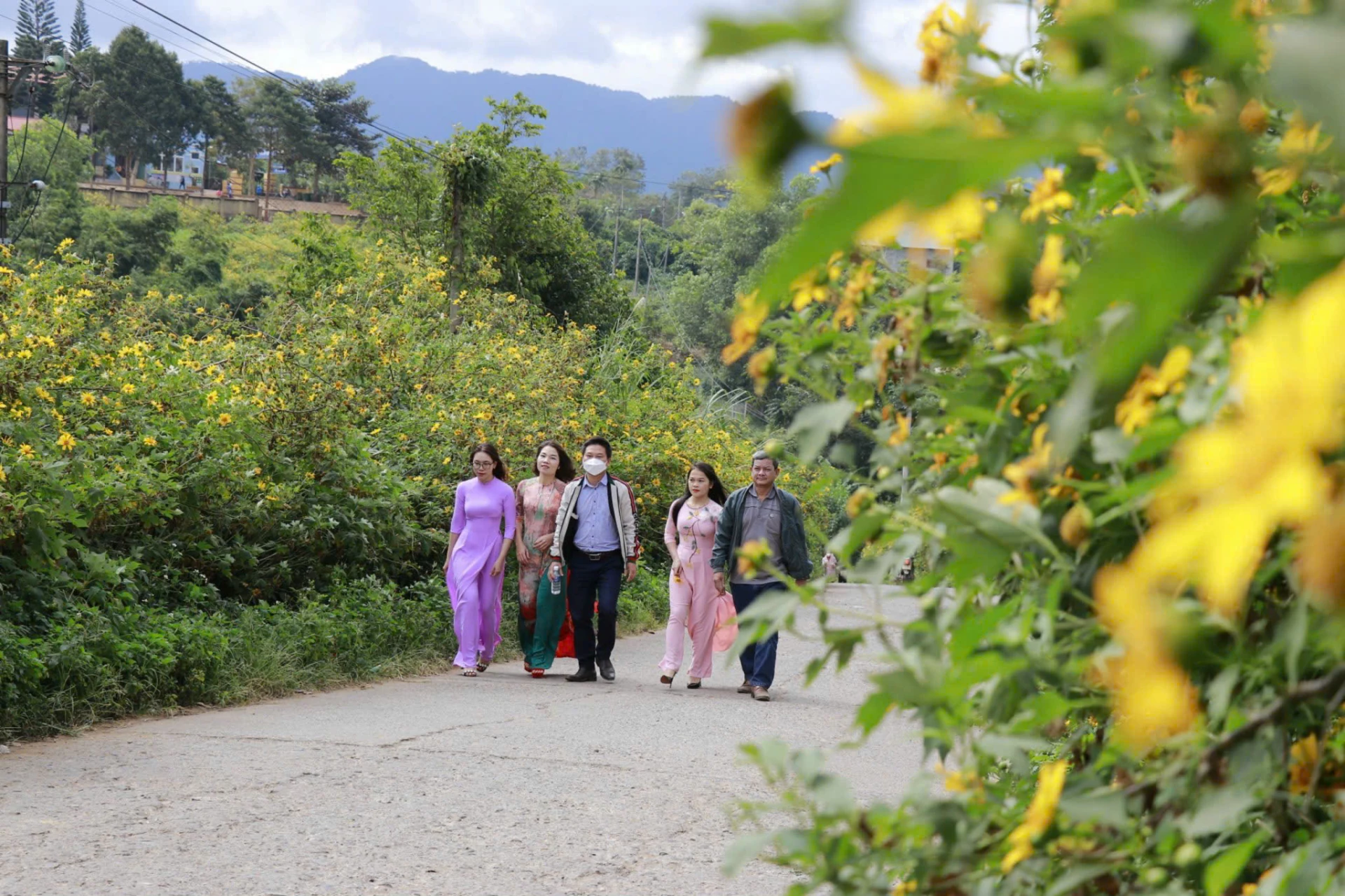 Con đường hoa dã quỳ ở xã Hướng Phùng - Ảnh: Y.M.S