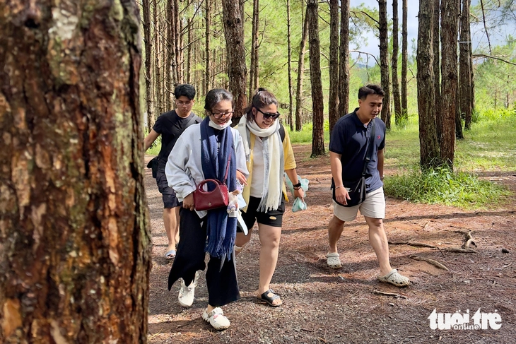 du lịch Việt Nam - Ảnh 1.