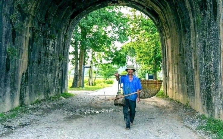 Туристы наслаждаются поездкой на буйволиной повозке и наслаждаются умиротворяющими пейзажами вокруг цитадели династии Хо - 4