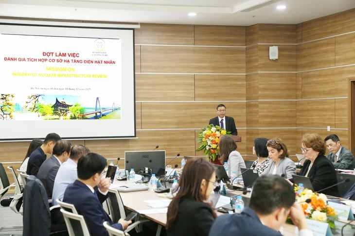 điện hạt nhân - Ảnh 1.