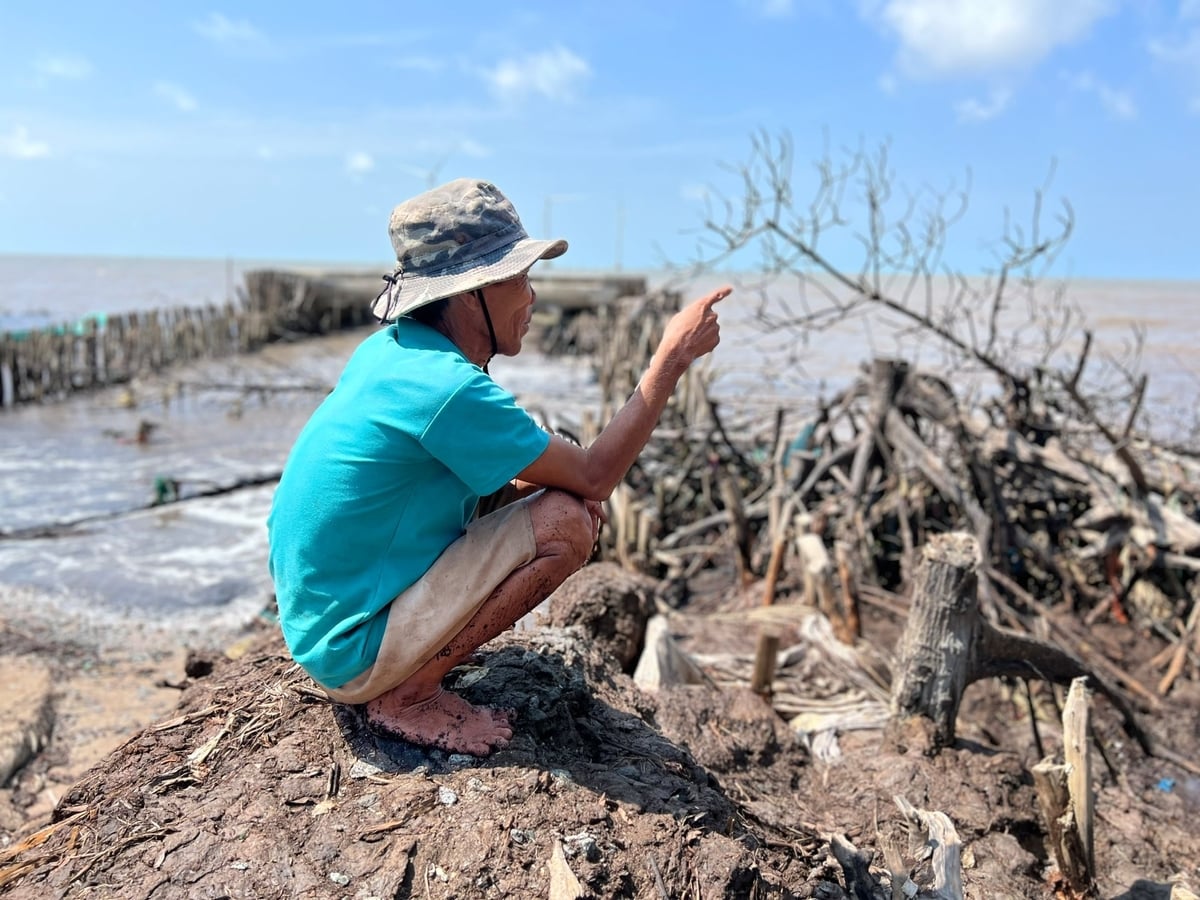 Thống kê từ năm 2011 đến 2023 cho thấy, toàn tỉnh Cà Mau đã mất khoảng 6.200 ha đất và rừng phòng hộ ven biển do sạt lở. Ảnh: Trọng Linh.