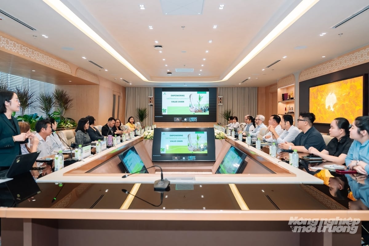 Вьетнамская ассоциация производителей кокосов провела рабочую сессию с Международной финансовой корпорацией (IFC). Фото: Выонг Тхинь. Hiệp hội Dừa Việt Nam có buổi làm việc với Tổ chức Tài chính Quốc tế IFC. Ảnh: Vương Thịnh.