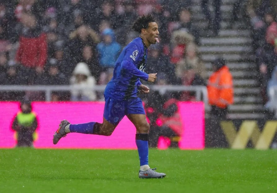 סיכום משחק בורנמות' נגד אברטון, 2:30 לפנות בוקר, 3 בדצמבר: שינוי מזל בויטאליטי - תמונה 2