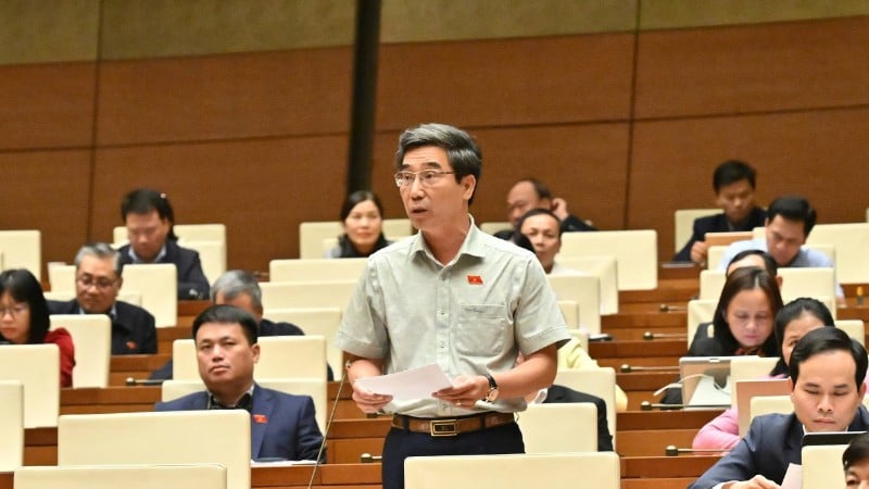 Da Nang şehri Ulusal Meclis delegesi Tran Chi Cuong tartışma salonunda konuşuyor. (Fotoğraf: DANG ANH)