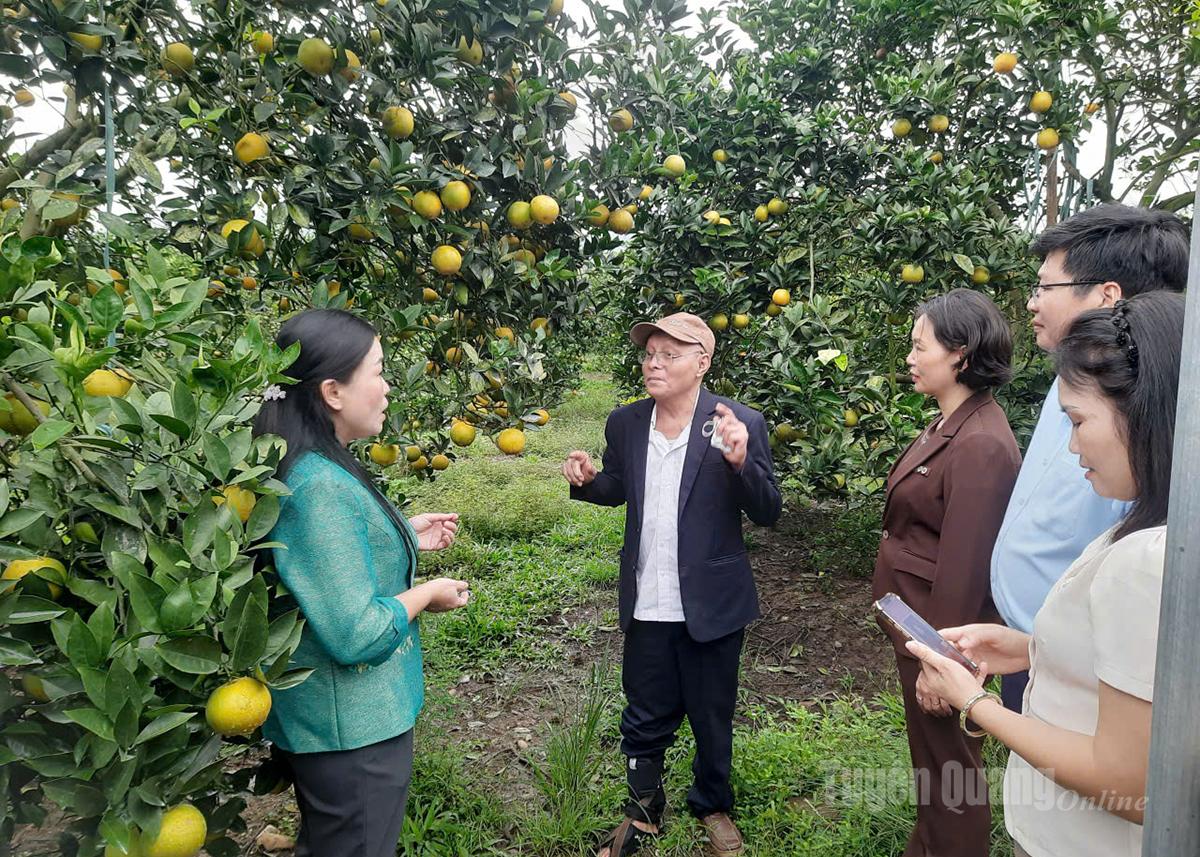 Asociația Provincială a Fermierilor a sporit coordonarea în furnizarea de îngrășăminte agricole sub formă de plată amânată, ajutând oamenii să reducă povara capitalului.