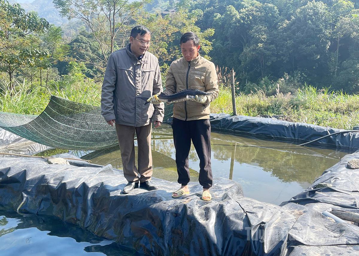Hodowla ryb w zimnej wodzie przynosi stały dochód mieszkańcom gminy Nam Dan.