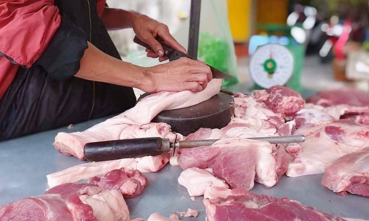 Giá heo hơi hôm nay 2/12/2025 ở ba miền mới nhất