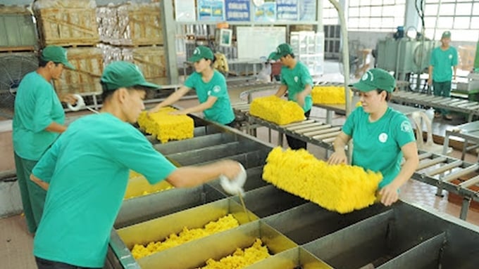 Giá cao su hôm nay 2/12/2025 ở trong nước và thế giới mới nhất