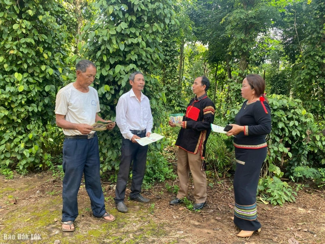 افراد معتبر در روستای یونگ مردم را تشویق می‌کنند که سبک زندگی و روش کار خود را تغییر دهند. عکس: دو لان