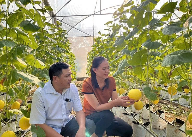 Dedicado a los asuntos del pueblo