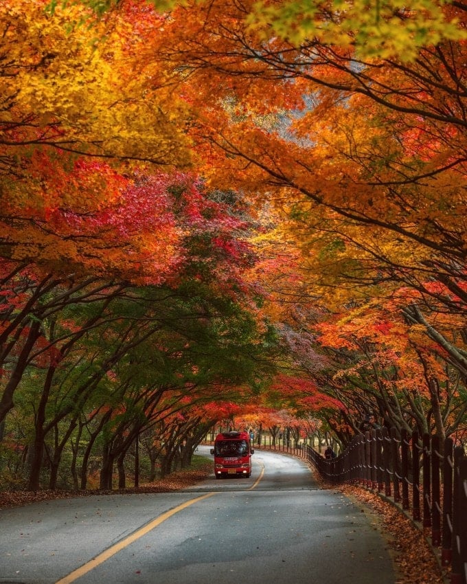 De weg naar het Naejangsan Nationaal Park, een van de beroemdste bestemmingen in Jeonbuk.