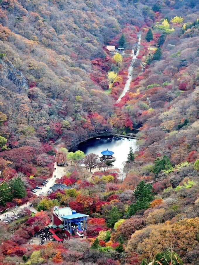 Bezoekers kunnen ervoor kiezen om met de kabelbaan naar de top van de berg te gaan om te genieten van een panoramisch uitzicht over Naejangsan.