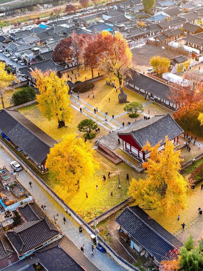 Bezoekers komen naar het dorp Jeonju Hanok als de ginkgo-bomen felgeel kleuren.