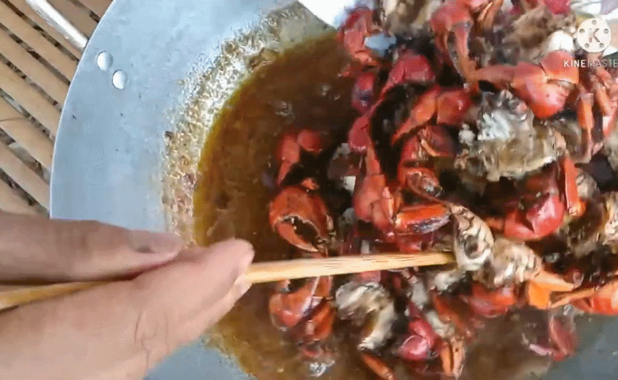 Ringarnas kung, Tam Vo, Vlogg.gif