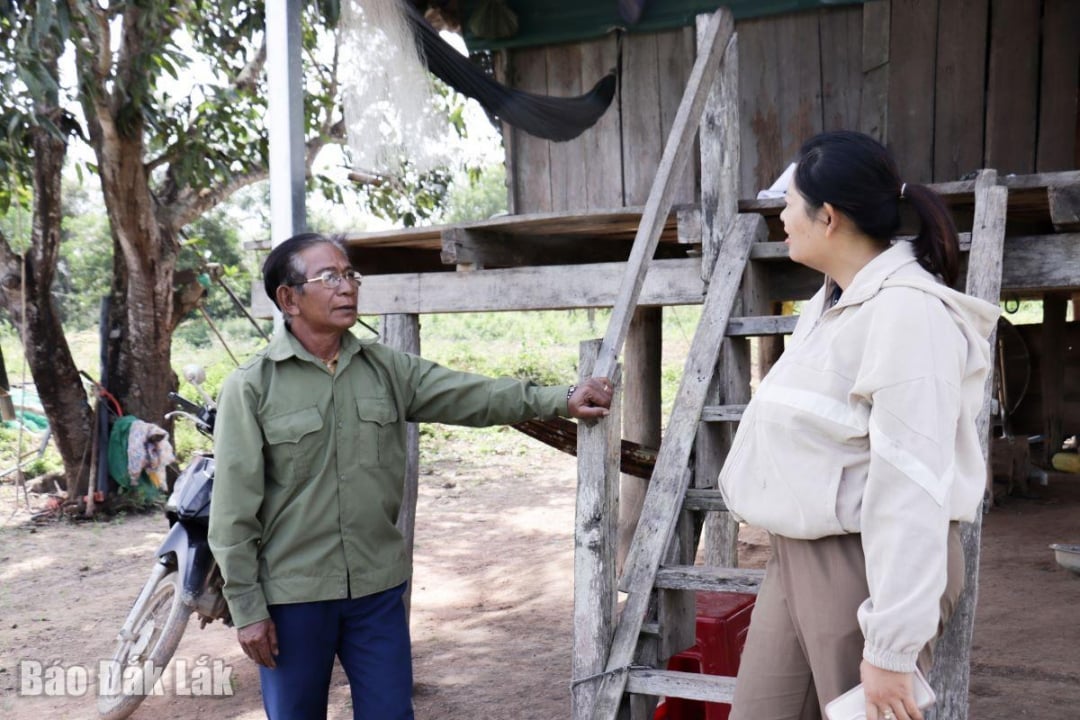 Hayvan ve kümes hayvanlarının kazıklı evlerin altında serbestçe dolaşmasına izin verilmemesi gerektiğini analiz etti ve insanları buna teşvik etti.