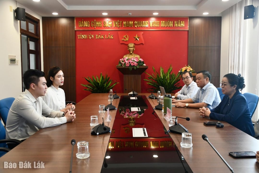 Provinslederne informerte arbeidsdelegasjonen til Son Hai-gruppen om skadene i provinsen etter de nylige historiske flommene.