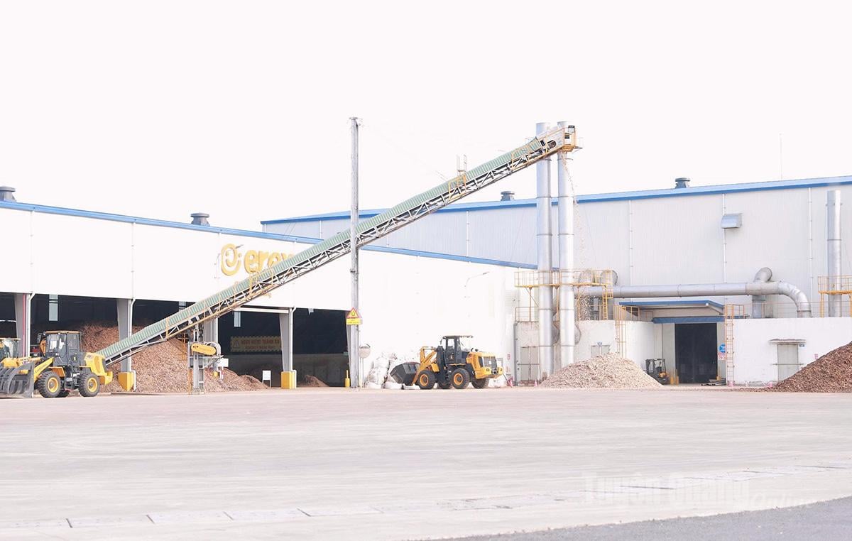 Závod na výrobu pelet z biomasy společnosti EREX Tuyen Quang bude uveden do provozu v roce 2025.