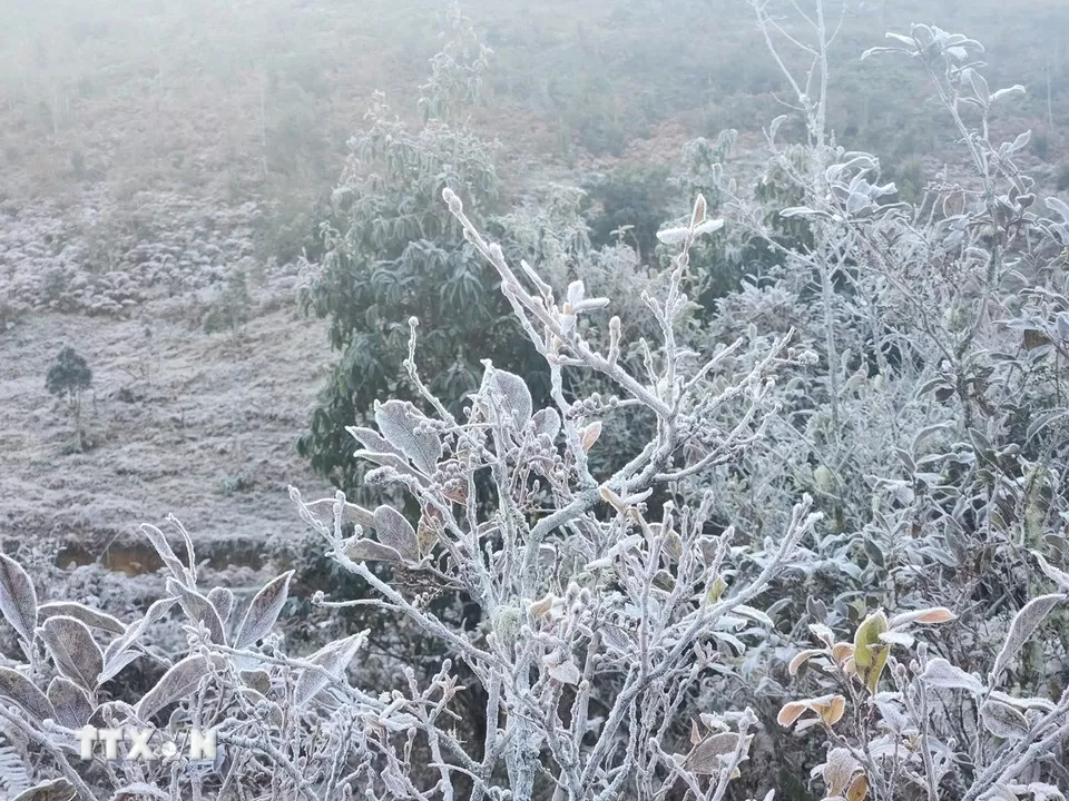 Embun beku menyelimuti Y Ty, para tamu bergegas memesan kamar Băng giá phủ trắng Y Tý, khách đổ xô đặt kín phòng