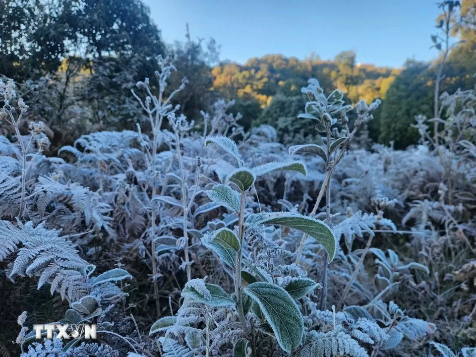 Embun beku menyelimuti Y Ty, para tamu bergegas memesan kamar Băng giá phủ trắng Y Tý, khách đổ xô đặt kín phòng