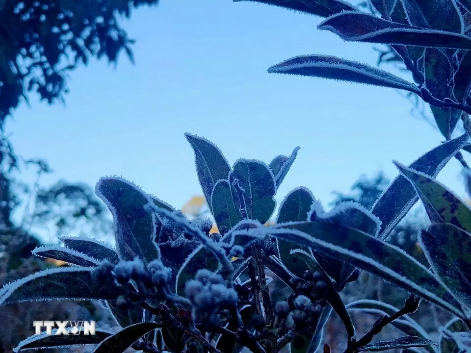 Embun beku menyelimuti Y Ty, para tamu bergegas memesan kamar Băng giá phủ trắng Y Tý, khách đổ xô đặt kín phòng