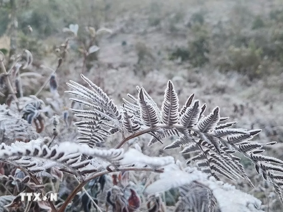 Embun beku menyelimuti Y Ty, para tamu bergegas memesan kamar Băng giá phủ trắng Y Tý, khách đổ xô đặt kín phòng