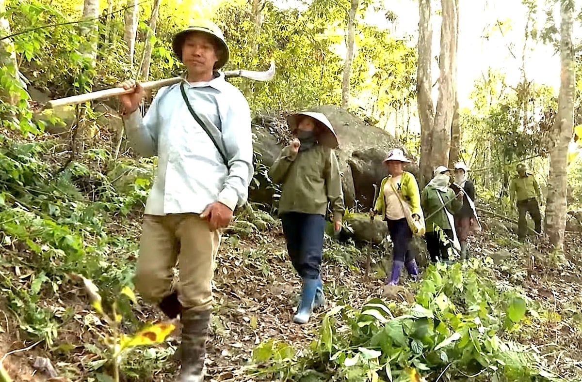 Những chuyến đi tuần của người dân với lực lượng kiểm lâm. Ảnh: Vạn Tâm.