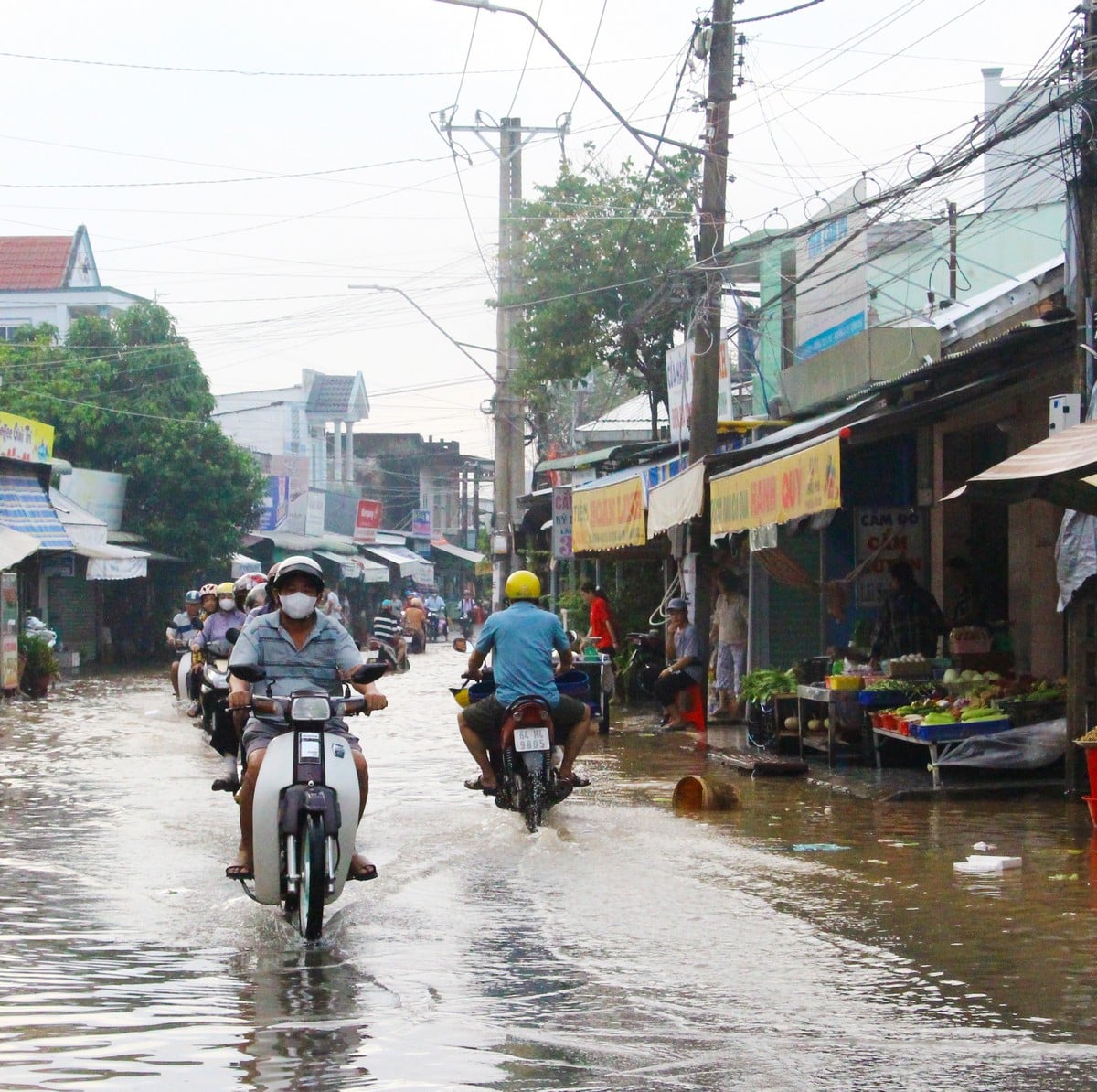 ຄາດຄະເນນໍ້າຖ້ວມ 5-65 ຊມ ແຕ່ວັນທີ 4-8 ທັນວາ (ພາບປະກອບ).