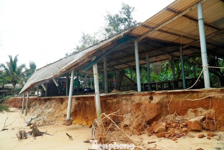Vedere panoramică a plajei Ham Rong, devastată de copaci căzuți și de litoralul erodată.