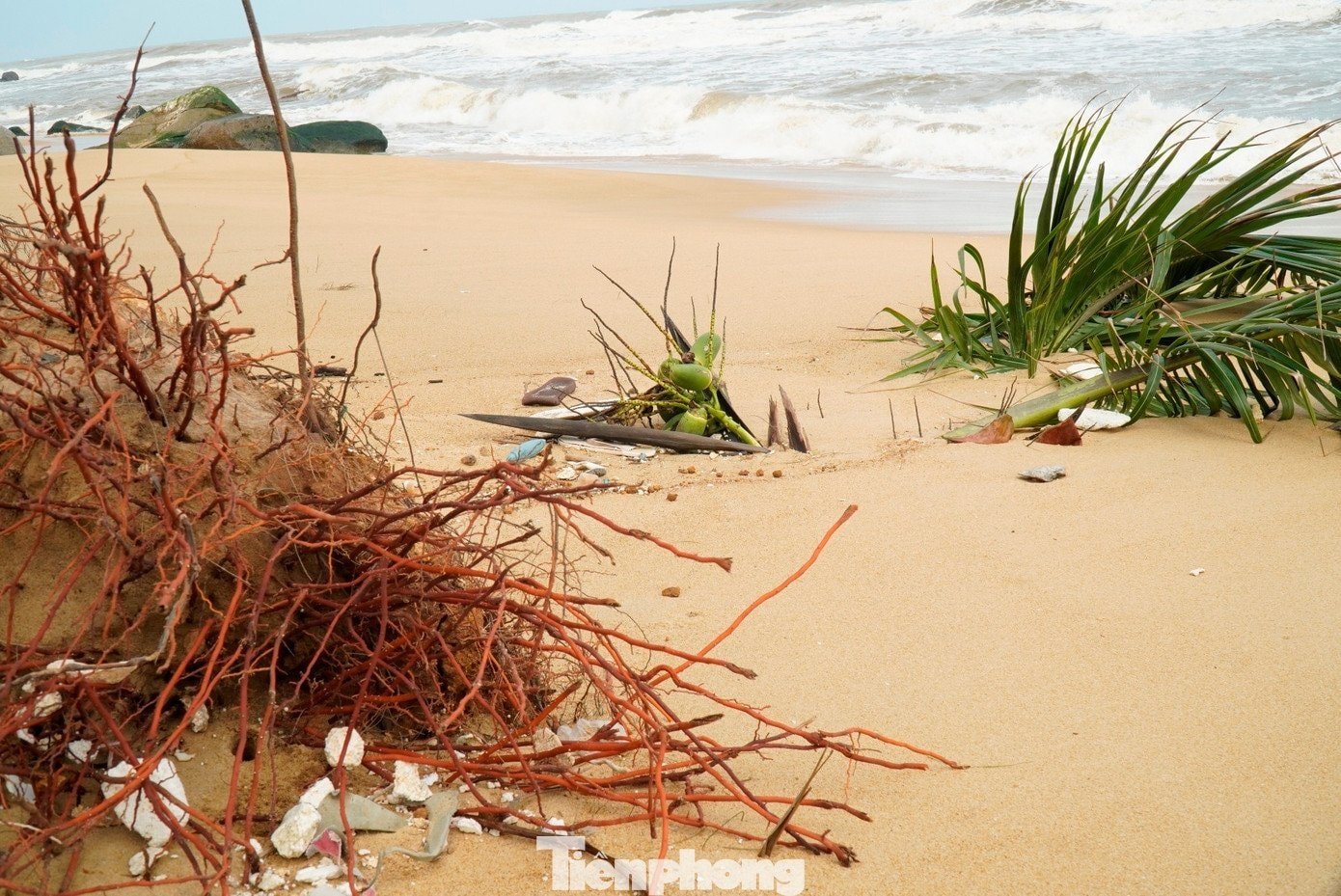 Oamenii stăteau și se uitau cum afacerile lor erau distruse de valuri.