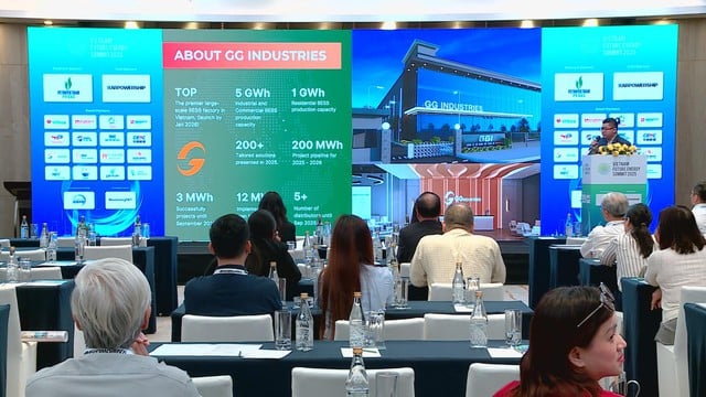 Việt Nam có nhiều tiềm năng đầu tư về tiết kiệm năng lượng bền vững - Ảnh 1.