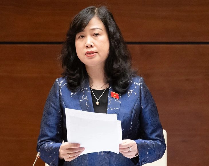 Bộ trưởng Đào Hồng Lan - Ảnh 1.