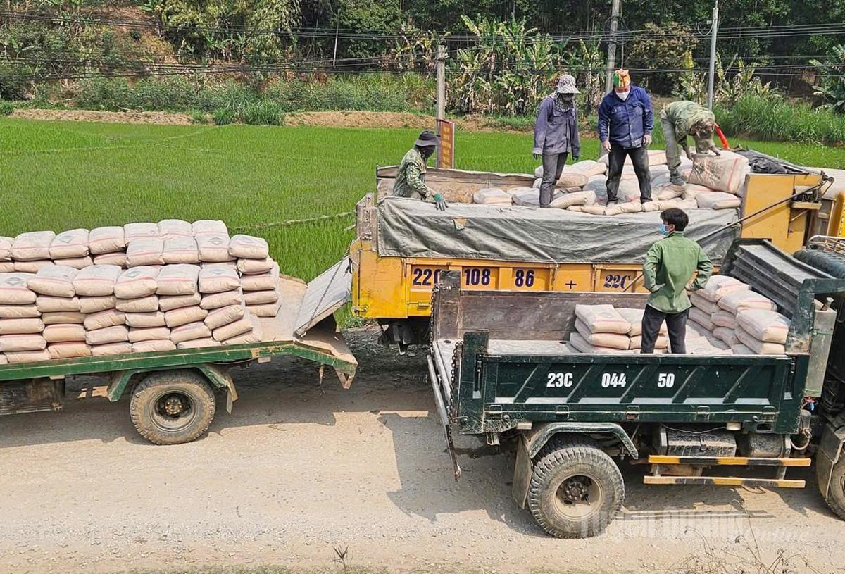 Tan Quang sementprodukter leveres til kunder i og utenfor provinsen.