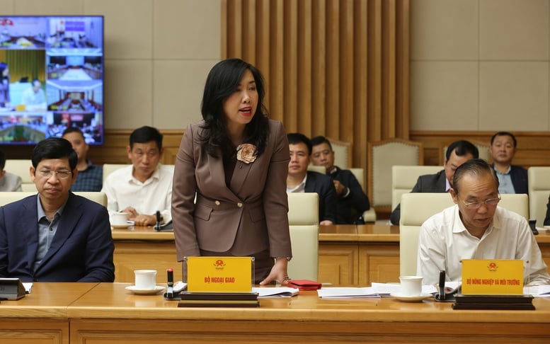 IUU 漁業違反の検査と処理は、実質的かつ透明性があり、明確な証拠がなければなりません - 写真 2。