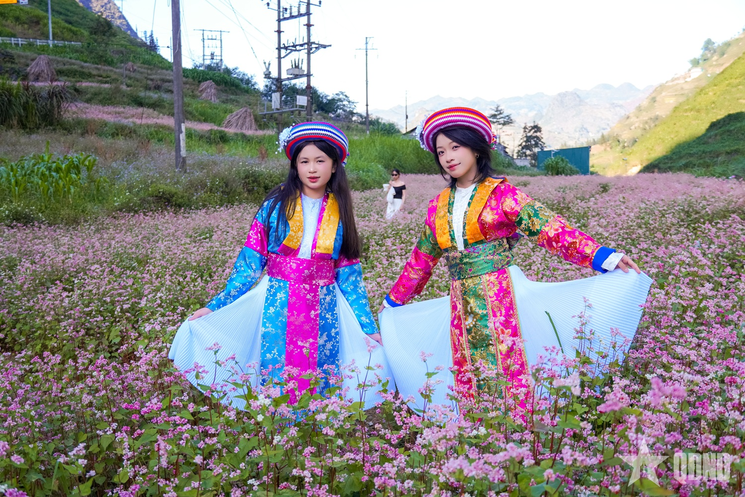 Miền đá thức giấc giữa sắc hồng tam giác mạch