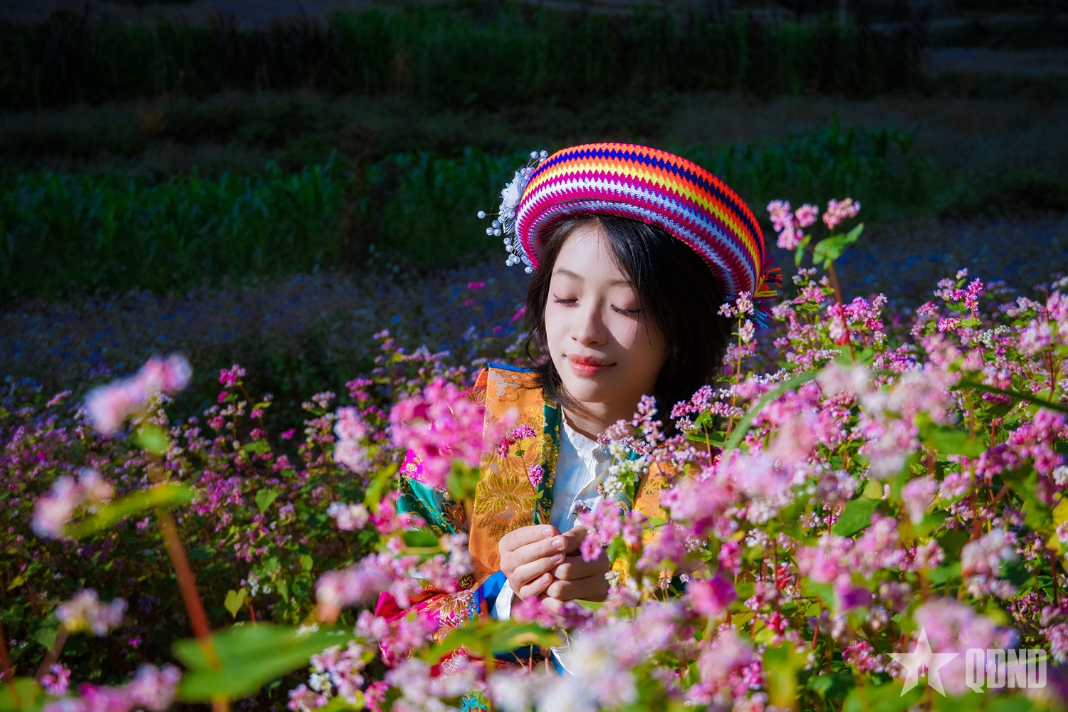 Miền đá thức giấc giữa sắc hồng tam giác mạch