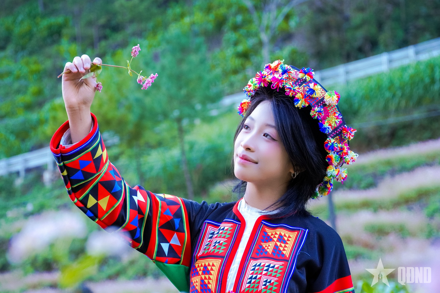 Miền đá thức giấc giữa sắc hồng tam giác mạch