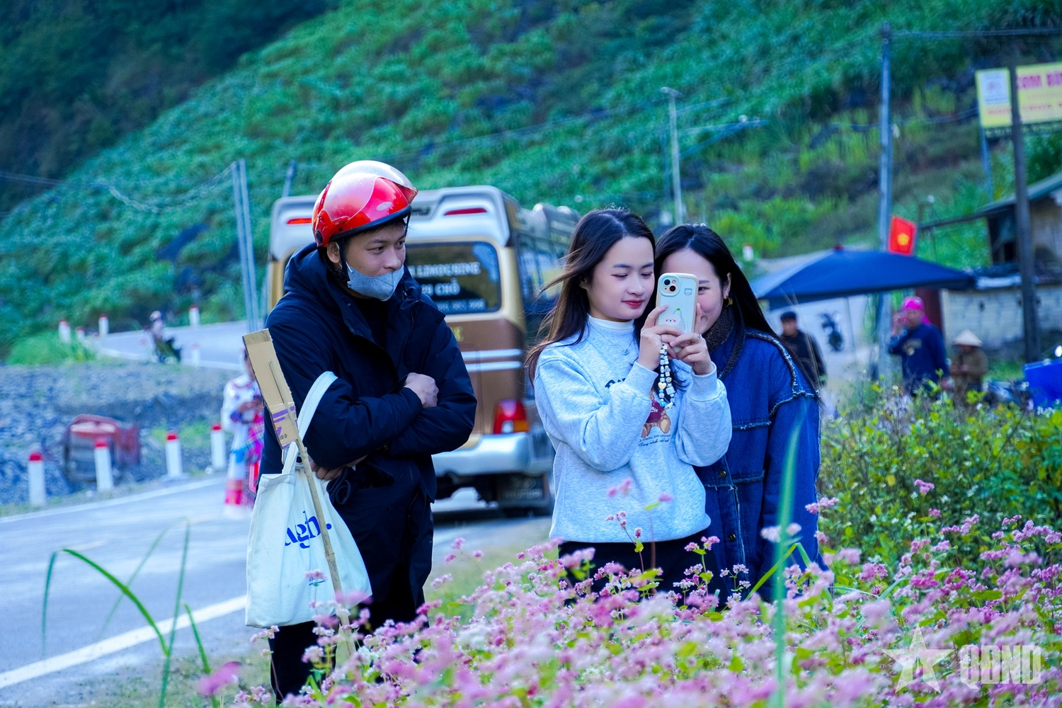 Miền đá thức giấc giữa sắc hồng tam giác mạch