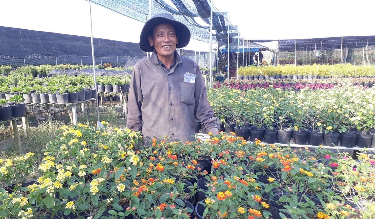 Người dân Sa Đéc chuẩn bị hoa, kiểng phục vụ thị trường Tết. Ảnh: Thanh Bạch.