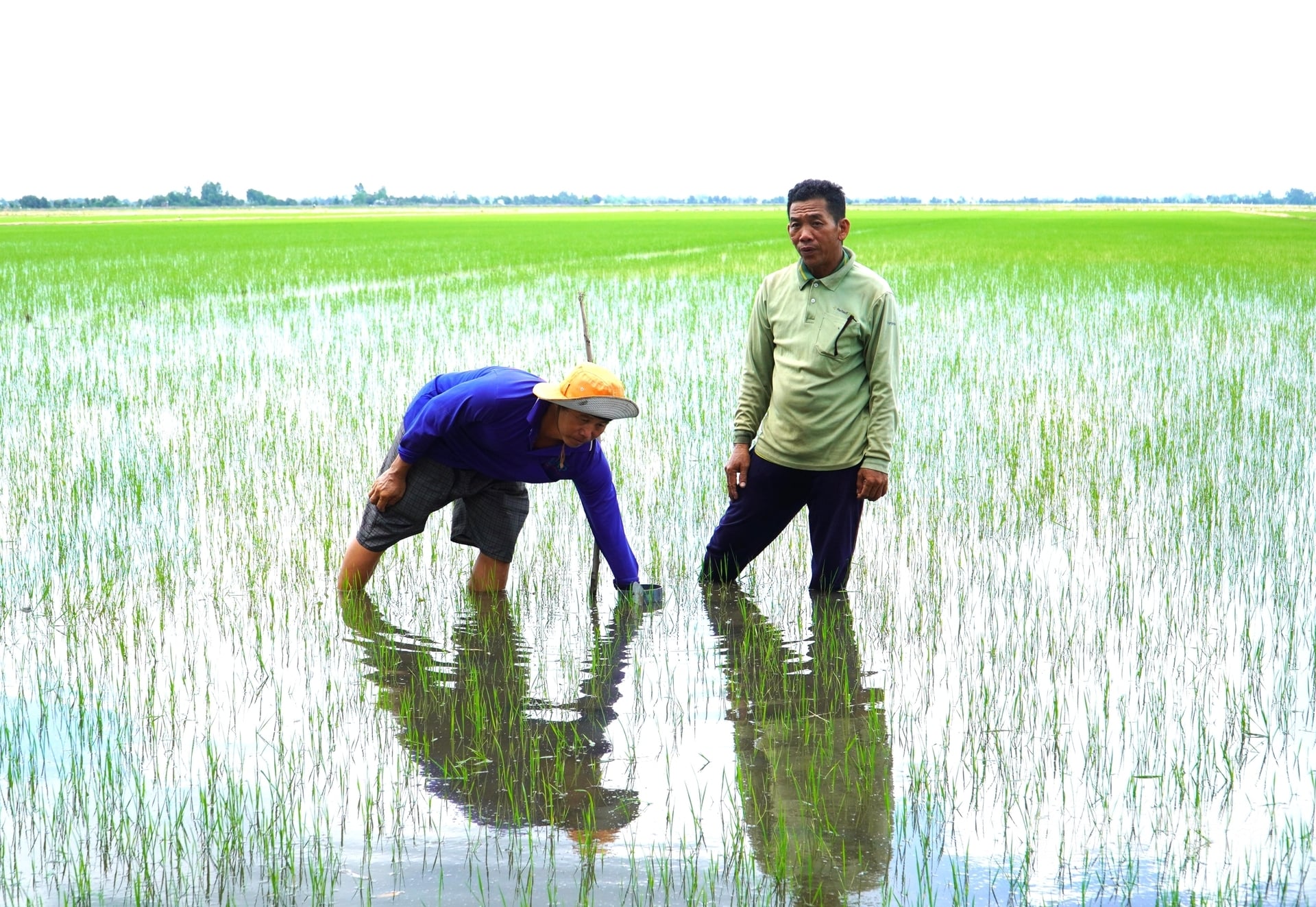Dự án BASIN tập trung vào tập huấn và chuyển giao kỹ thuật, kỹ năng sản xuất nông nghiệp sinh thái, thích ứng với biến đổi khí hậu nhằm cải thiện sinh kế cho nhóm nông dân. Ảnh: Trung Chánh.