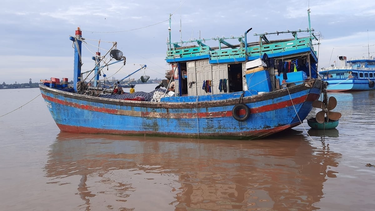 Đồng Tháp sẽ tăng cường thực hiện nhiệm vụ chống khai thác IUU. Ảnh: Thanh Bạch.