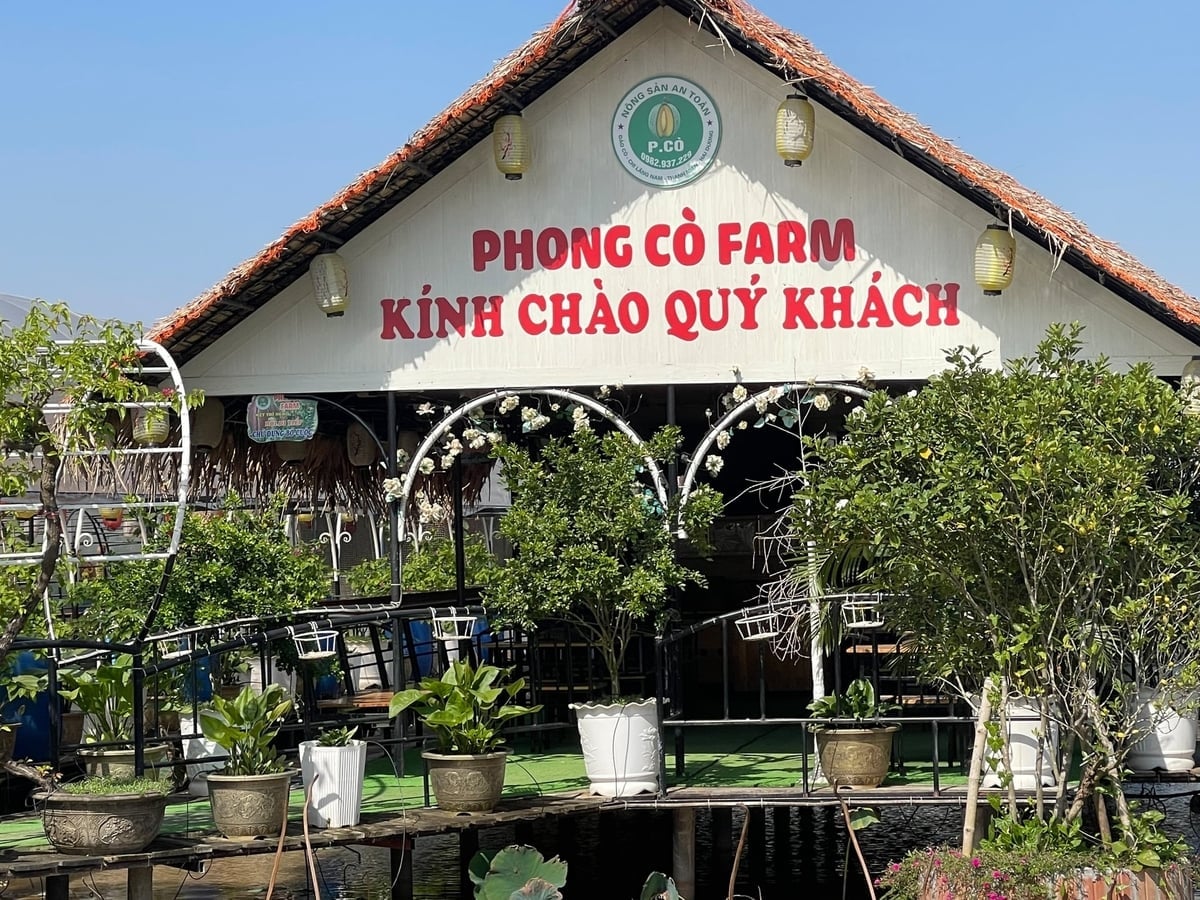 Khu du lịch sinh thái nông nghiệp của anh Phong đẹp như bức tranh giữa làng quê yên bình. Ảnh: Phạm Hoàng. 