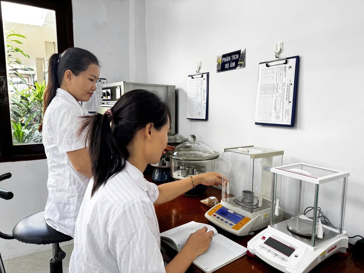 Khu vực Phòng Kiểm nghiệm giống cây trồng nông nghiệp thuộc Viện Nha Hố. Ảnh: Phan Công Kiên.