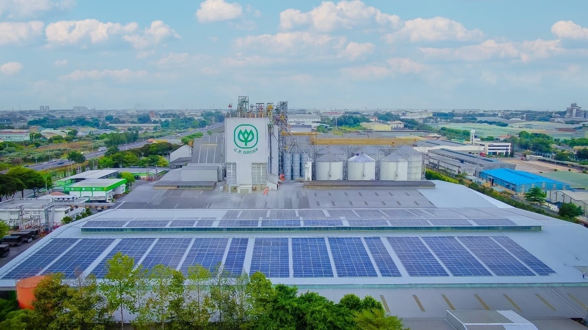 Hệ thống điện mặt trời áp mái tại nhà máy sản xuất thức ăn chăn nuôi C.P. Việt Nam. Ảnh: Trần Quân.