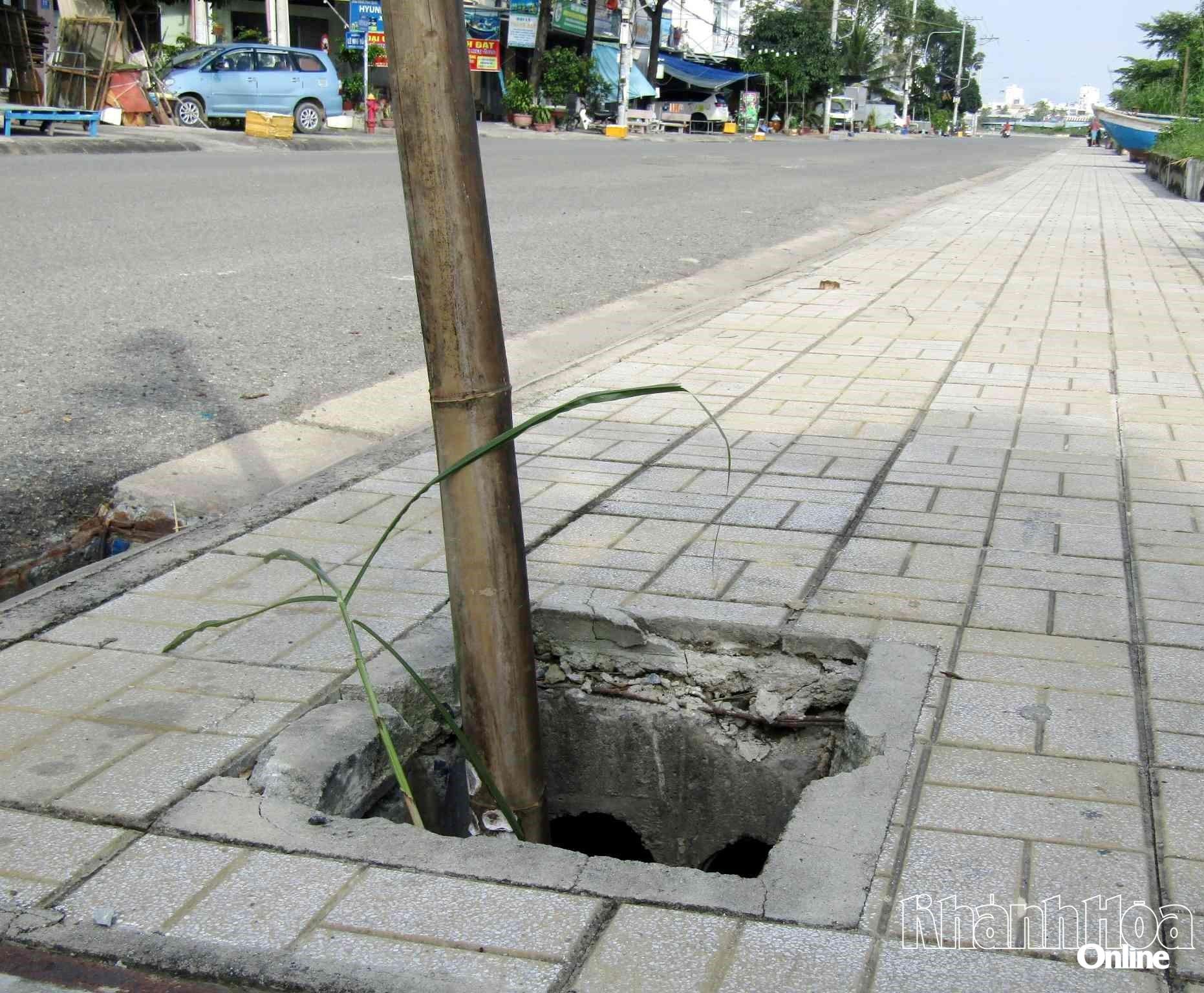 ছবিটি ২ ডিসেম্বর, ২০২৫ তারিখে তোলা।