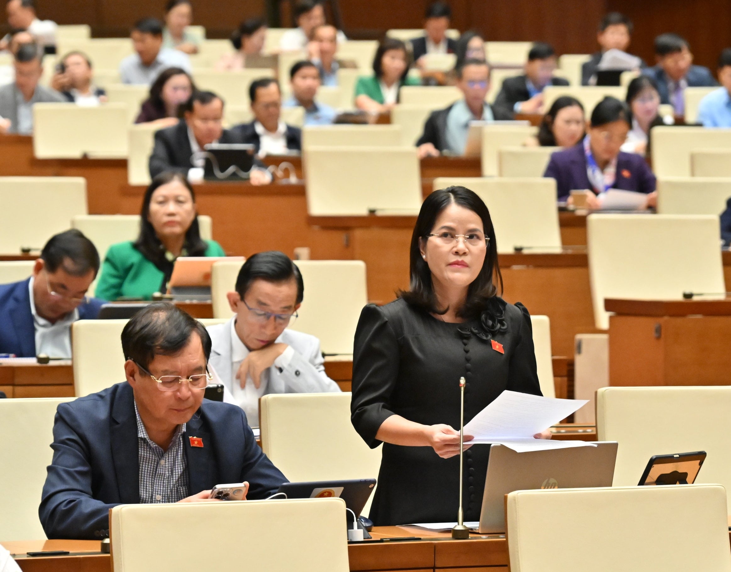 គណៈប្រតិភូរដ្ឋសភាវៀតណាម លោក Nguyen Hoang Bao Tran (ទីក្រុងហូជីមិញ)