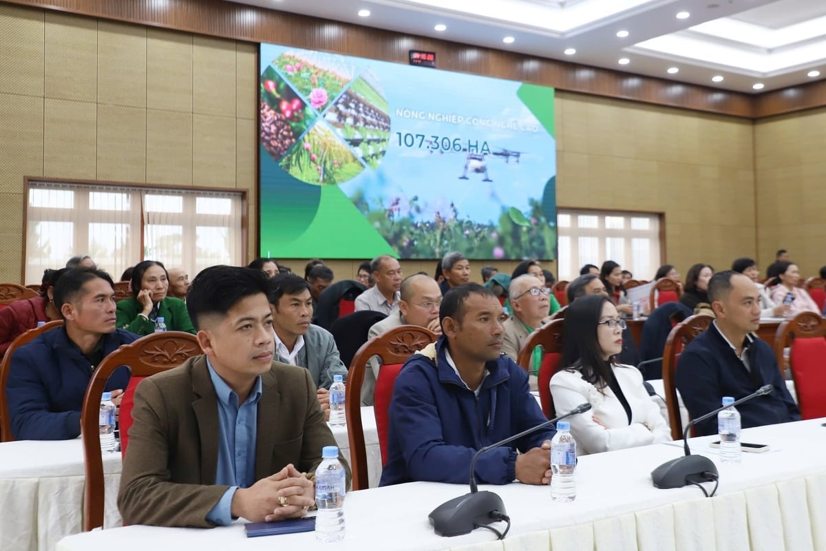 Hội nghị sẽ góp phần tháo gỡ khó khăn cho người nông dân. Ảnh: Phạm Hoài.