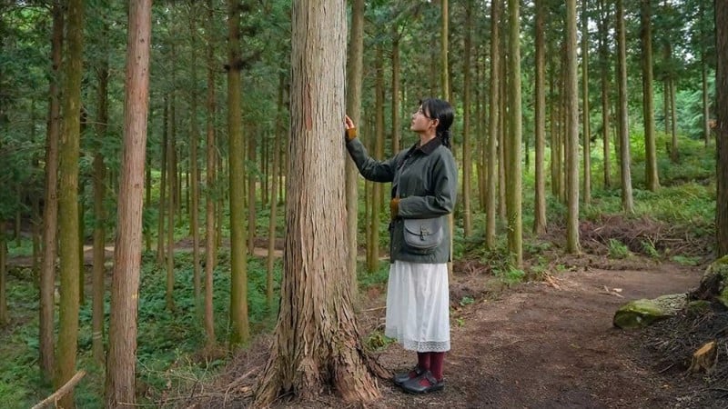 Užijte si relaxační místo v lese Gochang. (Foto: Nadace pro cestovní ruch a kulturu Jeonbuk)