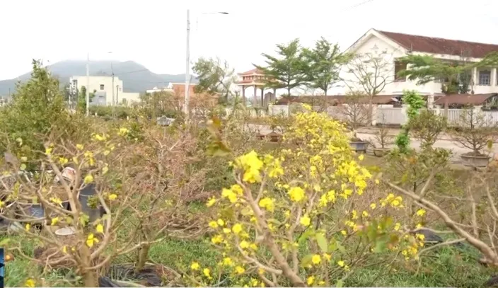 Cần vốn ưu đãi để tái sản xuất sau bão lũ - Ảnh 1.