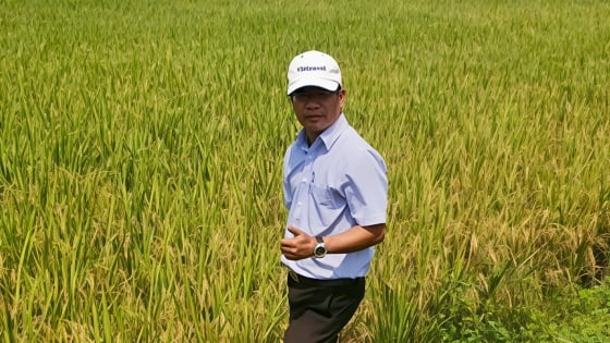 www.vietnam.vn
